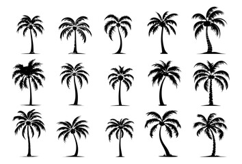 Fototapeta premium collection of tropical palm trees illustration – black vector