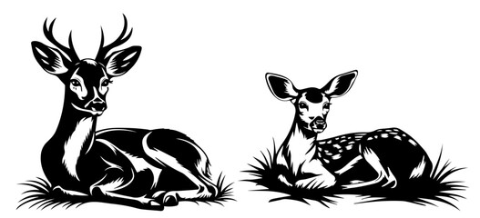 artistic deer resting in meadow illustrations