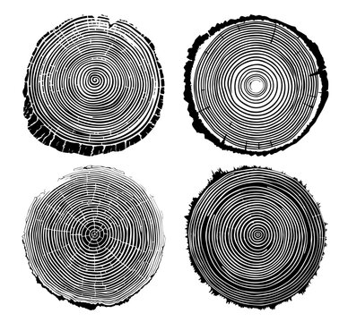 Wood log slice design with tree growth rings &ndash; black vector style