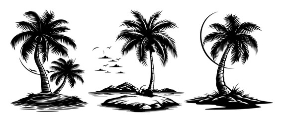 Palm tree silhouette collection – exotic nature black vector