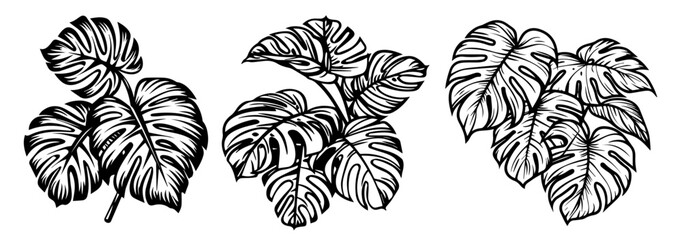 exotic tropical leaf cluster illustration in bold lines – black vector © Luka