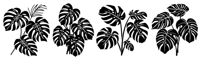 tropical monstera foliage set in detailed black graphic vector © Luka