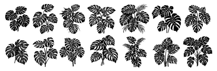 set of tropical monstera leaves in black hand-drawn style vector collection © Luka