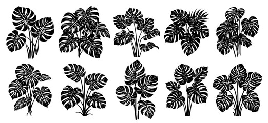 Hand-drawn monstera foliage collection – exotic leaf patterns black vector © Luka