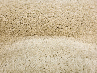 Bent Soft Beige Shag Carpet for Floor or Furniture.