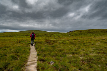 Narrow Wooden Path With Female Hiker On Seabird Protection Reserve Handa Island Near Tarbet In The...