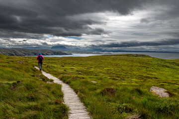 Narrow Wooden Path With Female Hiker On Seabird Protection Reserve Handa Island Near Tarbet In The...