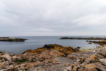 Rocky seashore. Stones covered with yellow and green moss and cloudy sky. Beautiful landscape.