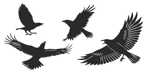 Set of black bird silhouettes isolated on transparent background or white background. Vector elements for design.