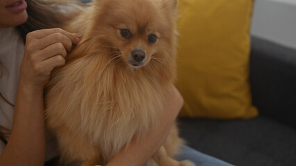 Hispanic woman holding pomeranian dog in modern living room.