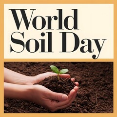 hands holding a plant. world soil day