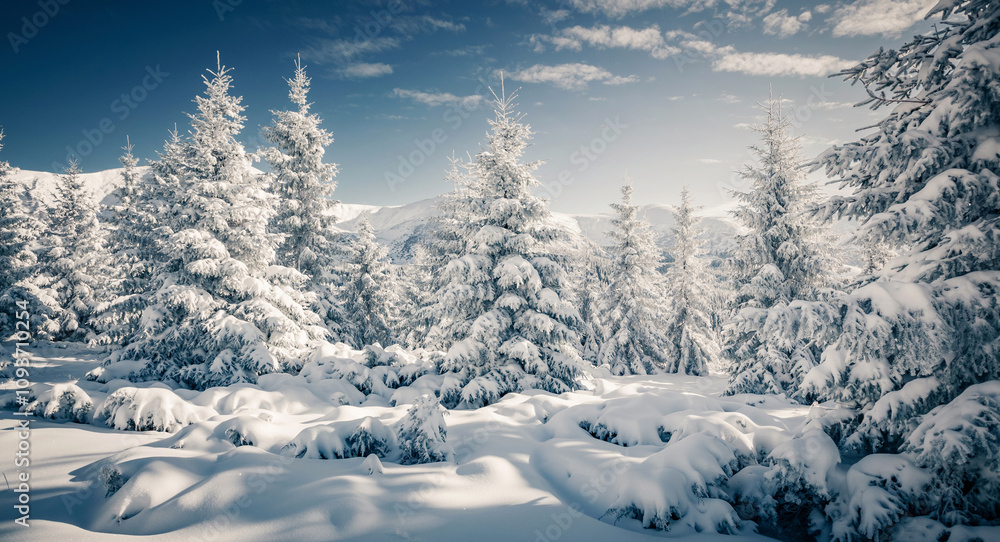 Poster shiny coniferous trees covered with fluffy snow on a frosty day. merry christmas and happy new year 