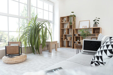Interior of living room with shelf units, plants and laptop on sofa