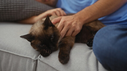 Obraz premium A man petting a siamese cat on a couch in a cozy indoor setting.