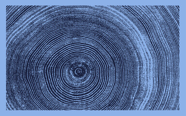 Blue monotone close up of vintage end grain of wood slab. Tree rings art with texture and cracked surface.