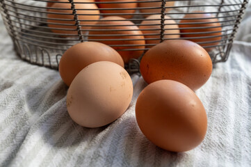 Organic brown chicken eggs from free-range organic farm in basket