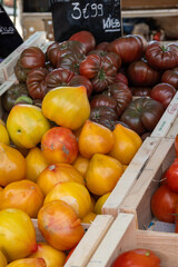 Variety of colorful tasty ripe french tomatoes on farmers market in Provence in summer