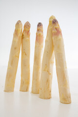 Fresh raw white asparagus vegetables large size, ripe and tasty