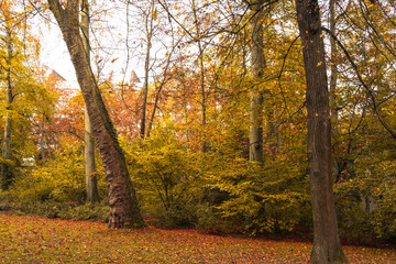 le parc avec les jolies couleurs d'automne