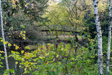 le parc avec les jolies couleurs d'automne