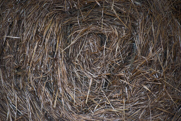 Detailed view of a circular hay bale showcasing the intricate straw patterns, creating a textured backdrop perfect for agricultural concepts