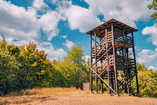 Birdwatching tower with a ladder and seat, set against a backdrop of trees and open landscape