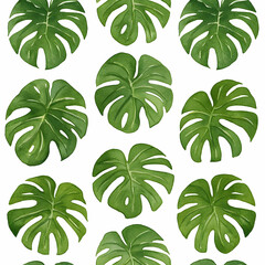 Vibrant Green Monstera Leaves Pattern on White Background for Tropical and Natural Decor Inspiration