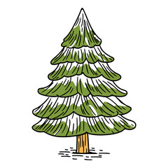 Pine Tree with Snow on Its Branches