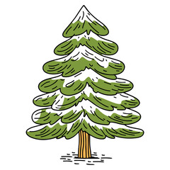 Pine Tree with Snow on Its Branches