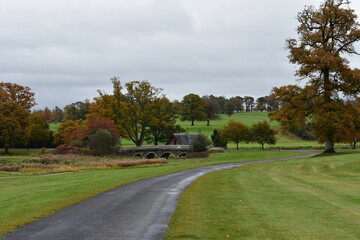 autumn in the park