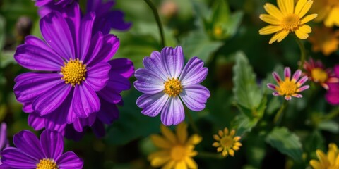 Obraz premium Vibrant purple flower petals and leaves in close-up shot, outdoor, fresh, bloom
