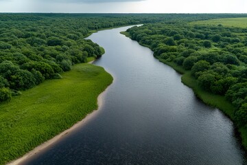 Sandy Dunes Meeting Water with Lush Green Forest – Aerial View, Coastal Landscape, and Natural Beauty