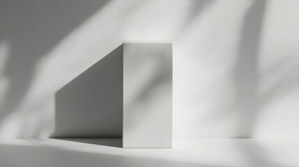 Fototapeta premium A tall, rectangular box with a soft matte finish and smooth edges, placed on a white surface