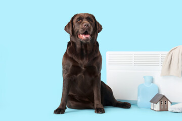 Cute Labrador dog with electric convector heater, hot water bottle and house model on blue background