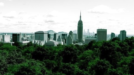 Naklejka premium Double exposure photo effect of city skyline and leaf silhouette, nature, modern, green