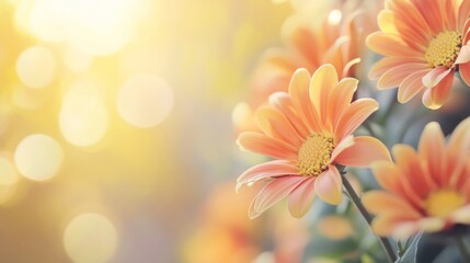 A blurred floral background with soft pink and yellow tones, creating a cheerful yet subtle design perfect for lighthearted presentations