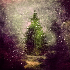 Christmas Card With Tree, Watercolor Vintage Grunge Magic Background For Your Design, Winter Wallpaper