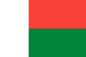 Flag of Madagascar. Banner. Illustration