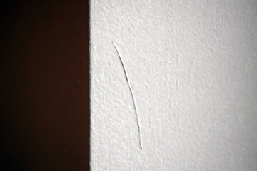 A hair from the paint brush came loose and is stuck in the paint on the wall