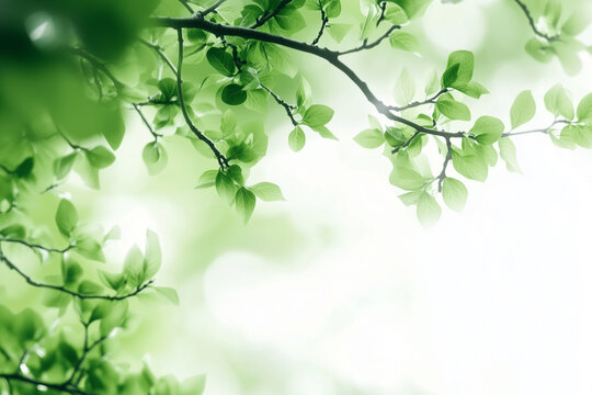 Green spring themed background with bokeh background and copy space in the center.