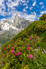Petit Dru granite mountain wall and summit in Chamonix valley, french Alps. Prominent mountain peak...