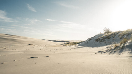 A desert landscape with a blue sky and fluffy white clouds above