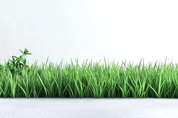 Lush Green Grass, Close-up view of vibrant grass blades illuminated by bright daylight, minimalist setting with ample free space, ideal for clean and simple backgrounds