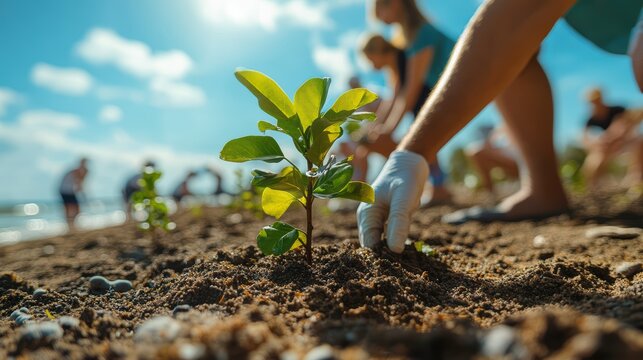 Community action event people planting trees on beach for world environment day nature conservation outdoor viewpoint