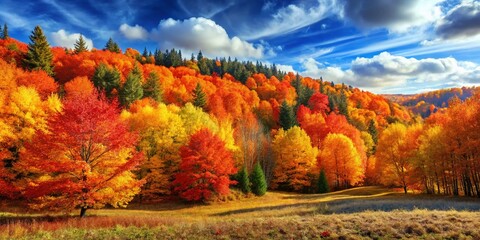 Captivating Autumn Forest Landscape with Vibrant Foliage, Warm Hues, and Lush Vegetation on the Left Side, Perfect for Nature Backgrounds and Seasonal Decor Ideas