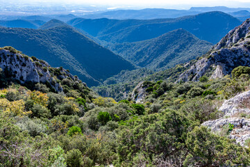 Val de Durance depuis la foret de cèdres