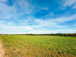 A large field of grass with a clear blue sky above