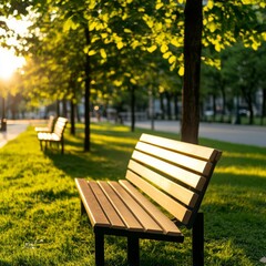 Naklejka premium A serene city park under gentle sunlight, trees and benches subtly highlighted, park sunlight, urban peace