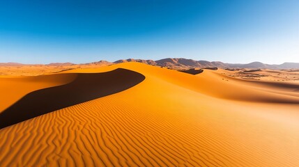 A wide desert under intense sunlight, stark contrasts between light and shadow on dunes, desert sunlight, raw wilderness