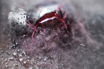 Macro shot of frozen blueberry fruit